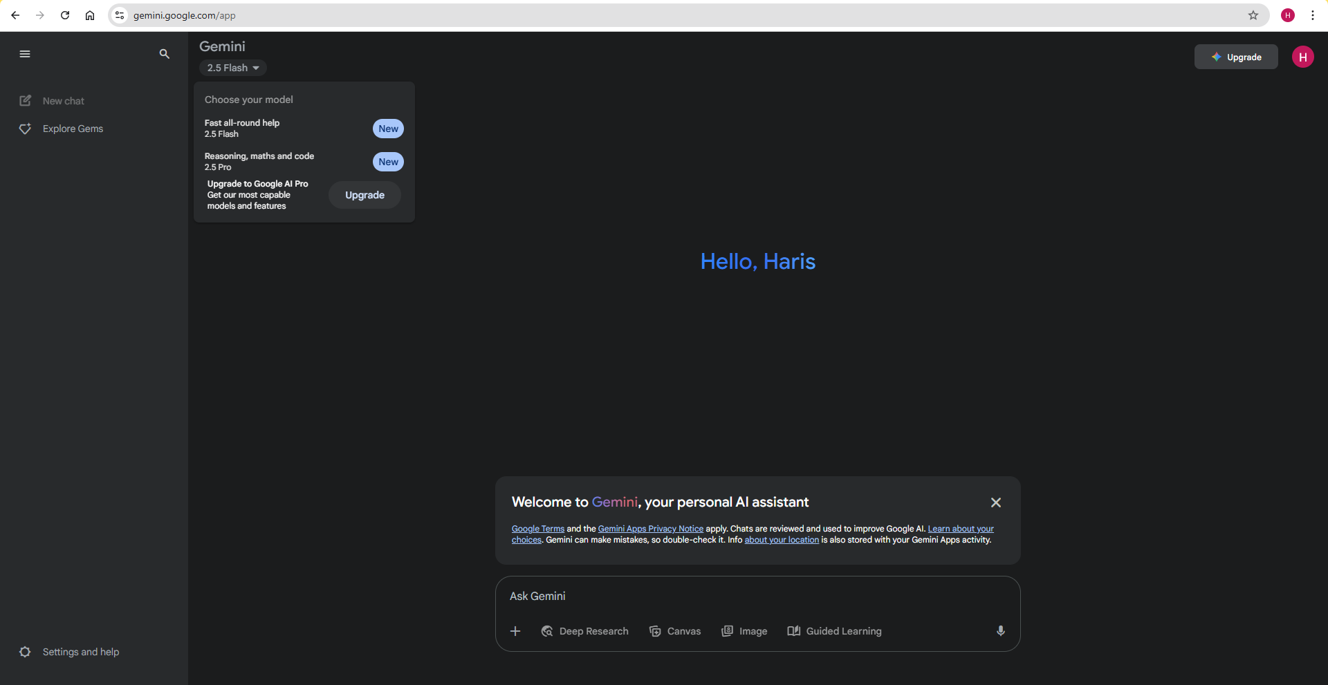 Gemini Interface